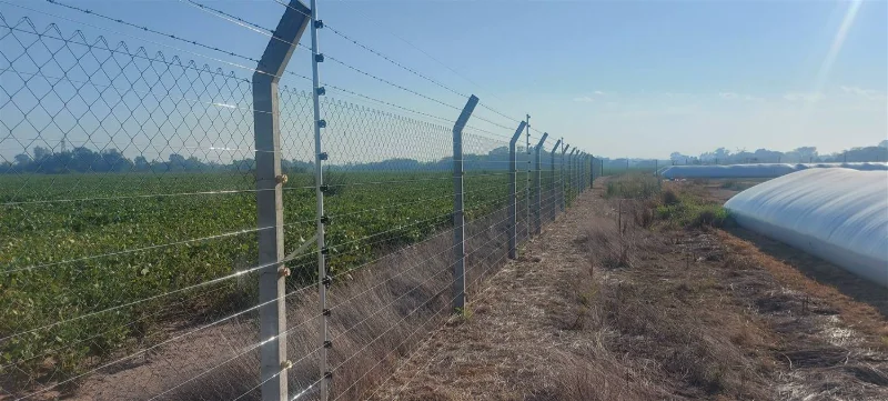 Cerco eléctrico perimetral instalado en un predio agropecuario, junto a un cultivo.