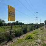 WhatsApp Image 2025 11 28 At 13.23.18 2 150x150