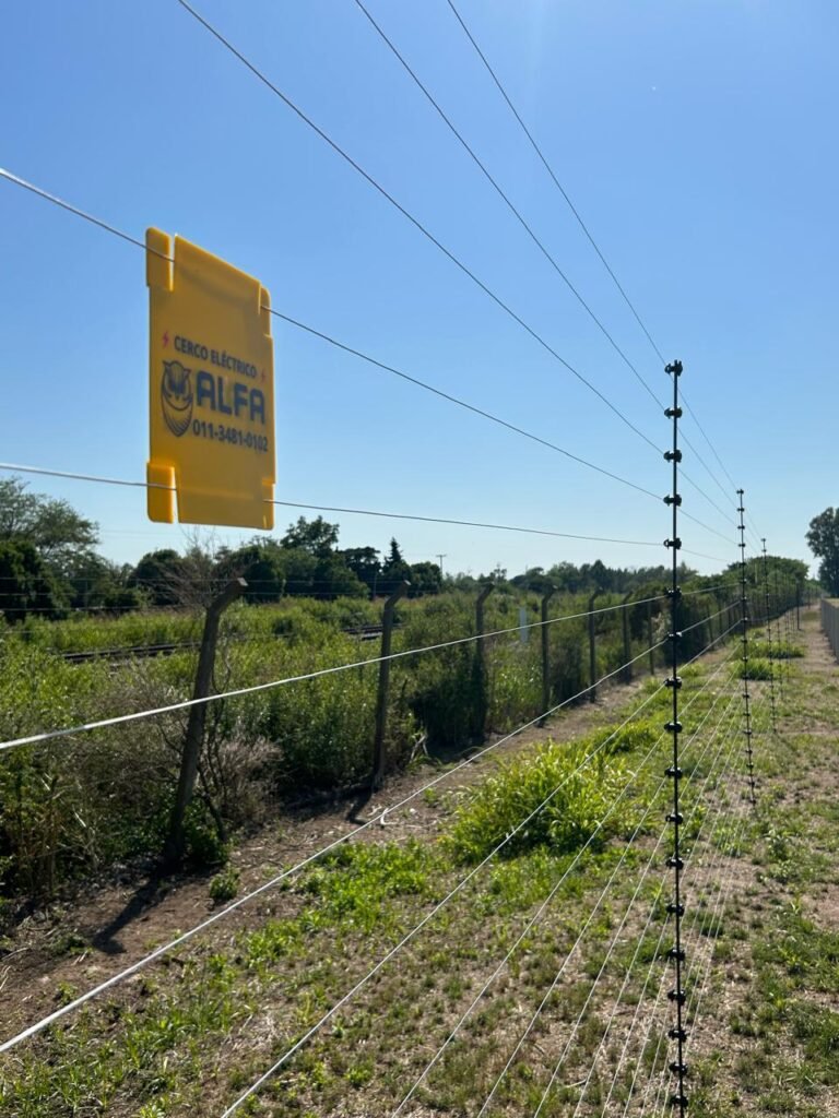 WhatsApp Image 2025 11 28 At 13.23.18 2 768x1024