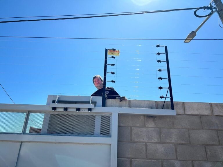 whatsapp image 2024 11 14 at 10.08.49 (1)