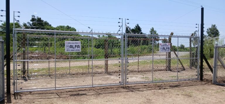 whatsapp image 2025 11 18 at 14.07.05