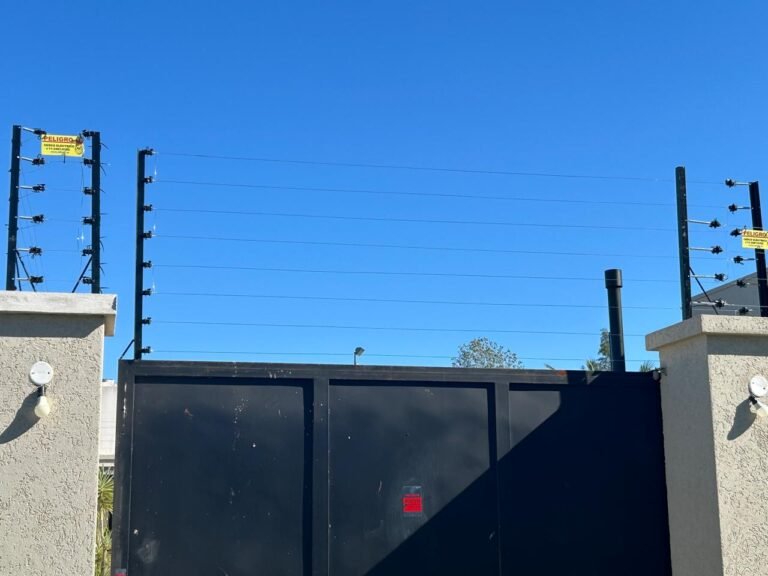 whatsapp image 2025 11 21 at 08.39.49