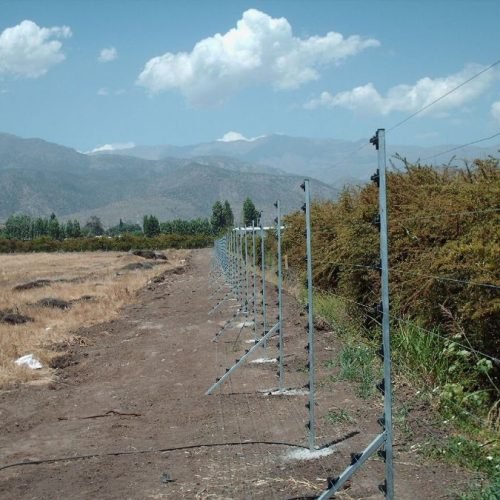 mendoza 1